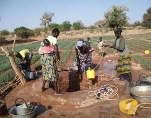 Women program participants watering their crops.