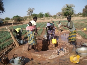 Women working together to water their fields.