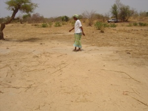 Tantamba, a village leader, explaining challenges to farming in the Sahel.